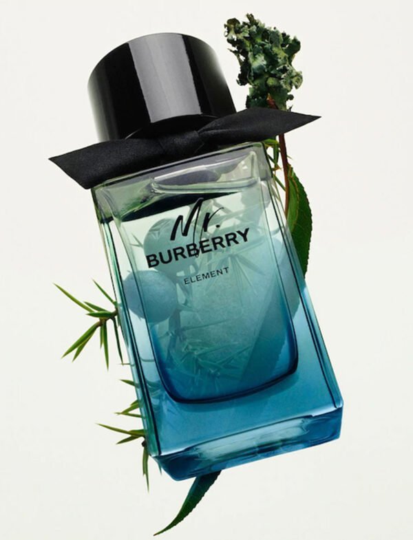 Mr. Burberry Element by Burberry - Image 3