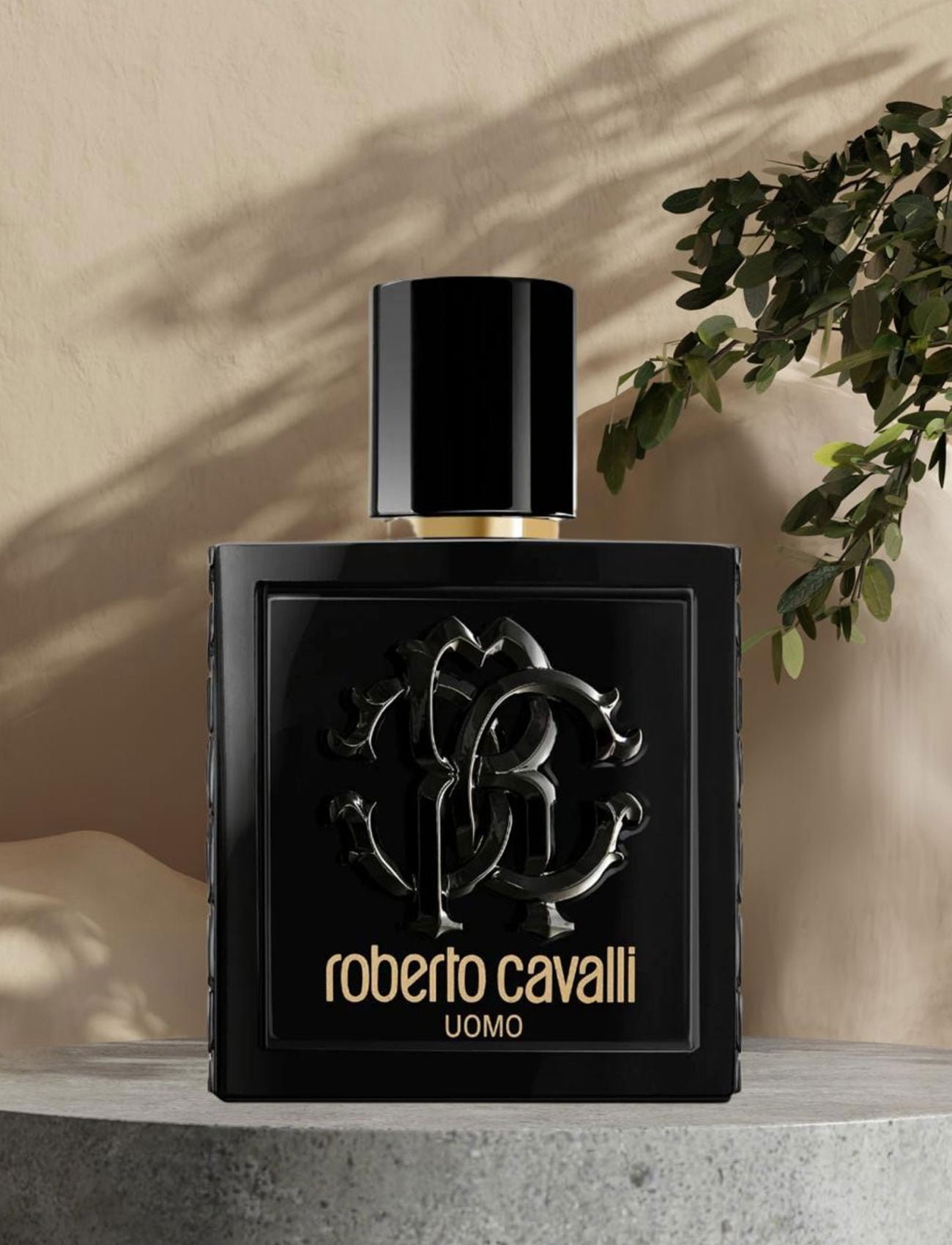 Roberto cavalli cheap pour homme